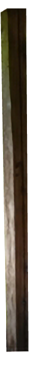 柱5